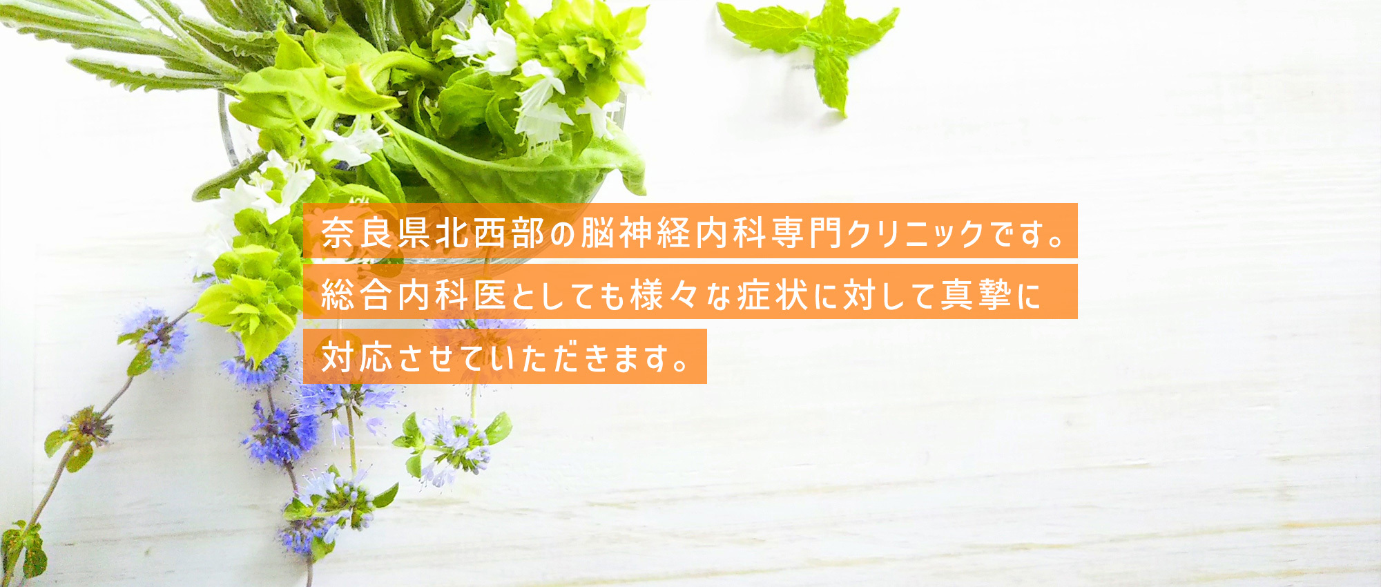 奈良市西登美ケ丘 西登美ヶ丘5丁目バス停 脳神経内科 内科